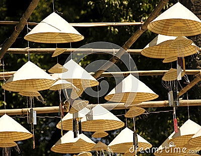 Vietnam: vietnamese conic hats Stock Photo