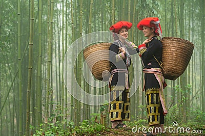 Vietnamese ethnic minority Red Dao women in traditional dress and basket on back in misty bamboo forest in Lao Cai, Vietnam Editorial Stock Photo