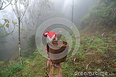 Vietnamese ethnic minority Red Dao women in traditional dress and basket on back in misty forest in Lao Cai, Vietnam Editorial Stock Photo