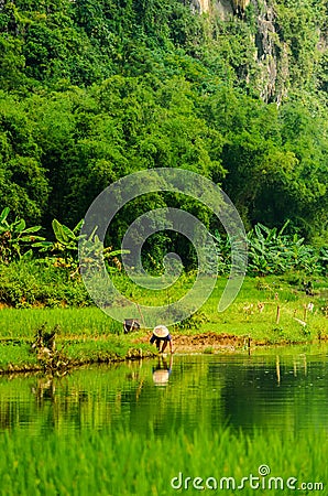 Vietnamese farmer washing tools in river. Stock Photo