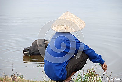 Vietnamese farmer with water buffalo Stock Photo