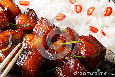 Vietnamese food: caramelized pork belly with rice macro. Horizon Stock Photo