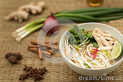 Vietnamese Pho soup Stock Photo