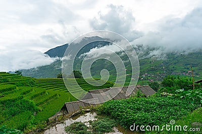Vietnamese rural landscape of rice terraces in the mountains Stock Photo