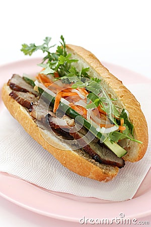 Vietnamese Sandwich Stock Photo