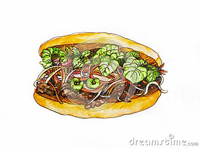 Vietnamese sandwich Banh Mi Ga with beef, watercolor sketch, illustration, isolate Cartoon Illustration