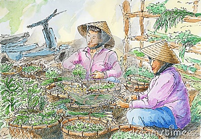 Vietnamese vegetable stall on a local market Stock Photo