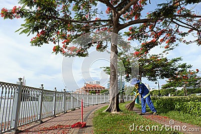 Vietnamese woman sanitation worker working under phoenix tree at riverside park Editorial Stock Photo