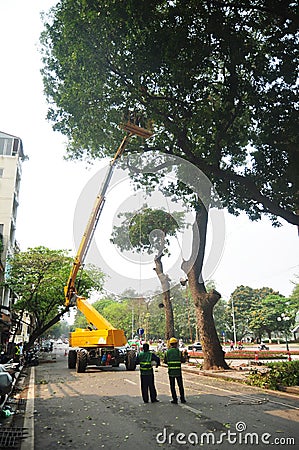 Vietnamese worker people working cutting branch tree and vietnam people driving riding biking with traffic road at old town on Editorial Stock Photo