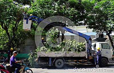 Vietnamese worker work on boom lift to cut branch of tree Editorial Stock Photo