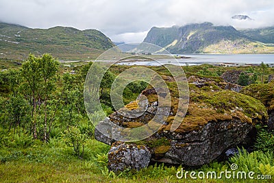 View from above of a beautiful panorama of moss-covered rocks and bush lush in the foreground. On the horizon are mountains and a Stock Photo
