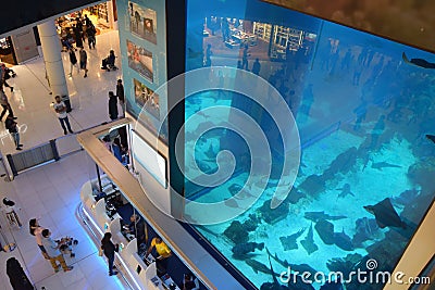 View from above of a huge aquarium Editorial Stock Photo