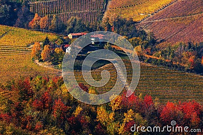 Rural houses on the hill among autumnal vineyards in Italy. Stock Photo