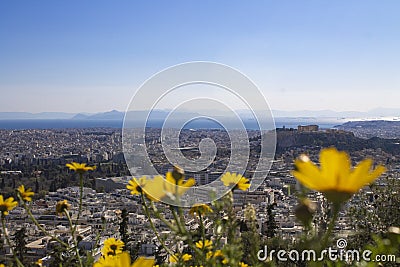 View of Acropolis Parthenon temple trough yellow flowers from the top in Athens, Greece Stock Photo
