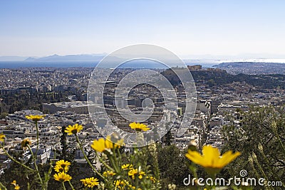 View of Acropolis Parthenon temple trough yellow flowers from the top in Athens, Greece Editorial Stock Photo