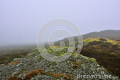 Misty Moorland Landscape of West Central Scotland Stock Photo