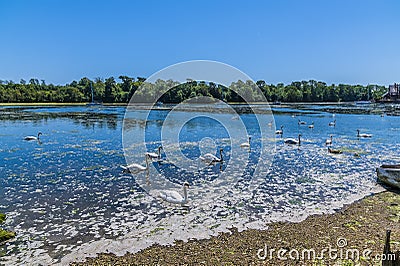 A view across the Cams lake at Fareham, UK Stock Photo