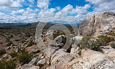 a view across the desert Stock Photo