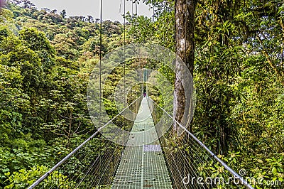 A view across a 100m long suspended bridge in the cloud rain forest in Monteverde, Costa Rica . Stock Photo