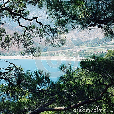 View on Adrasan Bay through pine trees. Blue sea. Stock Photo