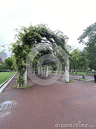 Vine filled overhang arches Stock Photo