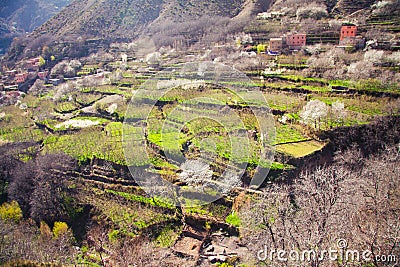 Agricultural land in the atlas mountains of Morocco Stock Photo