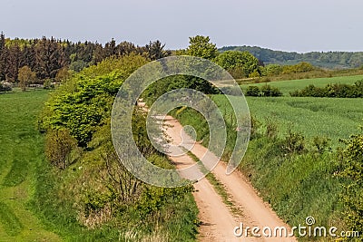 View of an agriculturally used field with green grass Stock Photo