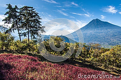 View of Agua Volcano outside Antigua, Guatemala Stock Photo