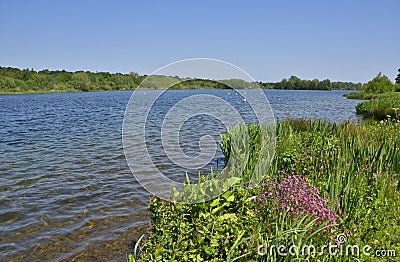 Scenic Country Park of East England Stock Photo