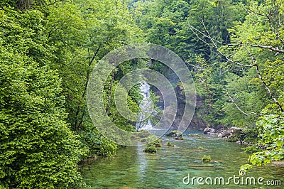 A view along the Radovna River towards the falls at the end of the Vintgar Gorge in Slovenia Stock Photo