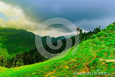 alpine meadows enroute to Prashar Lake Stock Photo