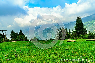 View of alpine meadows & coniferous enroute to Prashar Lake trekk trail. It is located at a height of 2730 m above sea level Stock Photo