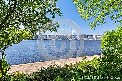 View of the Alster river Binnenalster in Hamburg with flowering green vegetation in the foreground Stock Photo