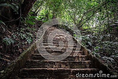 View of the archaeological site of Palenque, Mexico Stock Photo