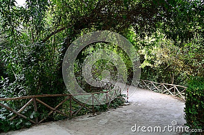 Walking in the archaeological site in Syracusae Stock Photo