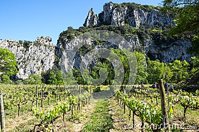View of Ardeche Gorges Editorial Stock Photo