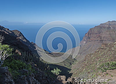 View of arid subtropical landscape of Barranco de Guigui Grande ravine with cacti and palm trees viewed from hiking Stock Photo