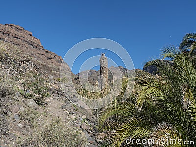 View of arid subtropical landscape of Barranco de Guigui Grande ravine with cacti and palm trees viewed from hiking Stock Photo