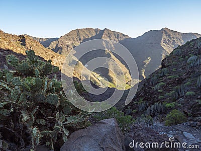 View of arid subtropical landscape of Barranco de Guigui Grande ravine with cacti and palm trees viewed from hiking Stock Photo
