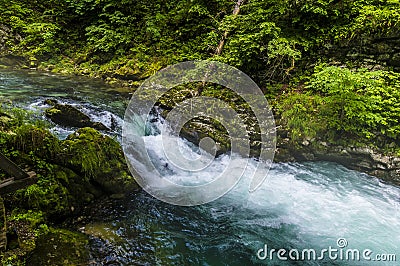 A view as the turbulent Radovna River tumbles over falls in the Vintgar Gorge in Slovenia Stock Photo