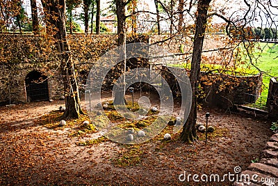 View Autumn trees atop bastions in the walled city from above, Lucca Stock Photo