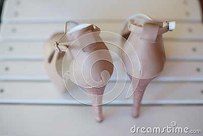 View from the back of an elegant high heel peep toe pumps shoes, with stiletto heel and ankle strap fastening Stock Photo