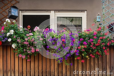 View of the balcony decorated with multicolored beautiful geraniums Stock Photo