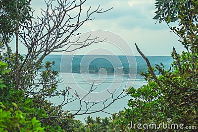 View of the bay through the green undergrowth of trees in cloudy weather Stock Photo