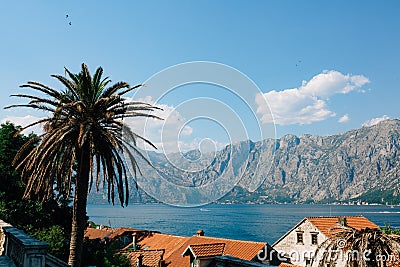 View of the Bay of Kotor above the tiled roofs of houses Stock Photo