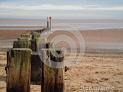 View of beach with dividing groyne at low tide with rad beacon and gulls feeding in the background Stock Photo