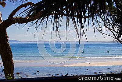 View of beach at Noosa with overhanging palm fronds Stock Photo