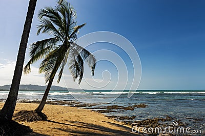 View of the beach with palm trees in Puerto Viejo de Talamanca, Costa Rica Stock Photo