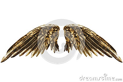 Golden wings Stock Photo