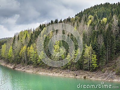 View of beautiful colorful forest of Tara mountain and Zaovine l Stock Photo